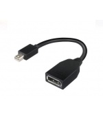 LENOVO MINI DP (M) TO FULL SIZE (F) CABLE