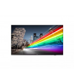 55" D-LED Philips 55BFL2214-UHD,IPS,350cd,TV,16/7