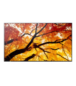 55" LED SHARP M552,3840x2160,IPS,24/7,500cd