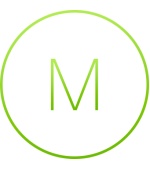 MS350-24P Enterprise License and Support, 10 Years