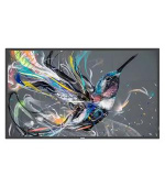 Philips LCD 65BDL3650Q 65" - Q-Line, 4K UHD, 18/7, D-LED, 400cd/m2, 500 000:1, 8ms, Android, LAN