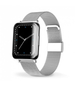 Chytré hodinky Aligator Watch Life (Y65), stříbrné