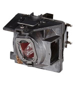 Viewsonic RLC-109 - lampa pro projektory PA503W/PG603W/PS600W/PS501W