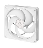 ARCTIC P14 PWM (White/White)