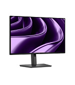 Dell Pro P/P2426HE/24"/IPS/FHD/120Hz/5ms/Černá/3RNBD