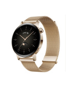 Huawei Watch GT 3/Gold/Elegant Band/Gold
