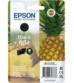 EPSON Singlepack Black 604 Ink