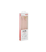 Ednet - Apple IP5/6 nabíjecí a datový kabel, Apple 8pin - USB A St/St, 1,0m, High Speed, UL, MFI, zlacené konektory