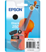 Epson Singlepack Black 250 ink
