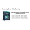 Kaspersky Small Office 10-14 licencí 3 roky Nová