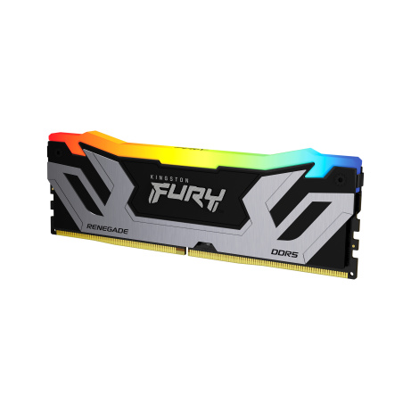 Kingston/CUDIMM DDR5/24/8800MHz/CL42/1x24GB/RGB/Black/Silv