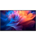 Dell Professional P2725H WOST 27" FHD/5ms/HDMI/DP/VGA/USB/IPS/cerny