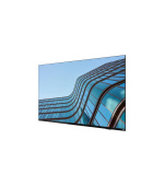 Lenovo ThinkVision E55 54,6"/16:9/3840x2160/8ms