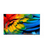 50" HTV Philips 50HFL6214U - Business TV