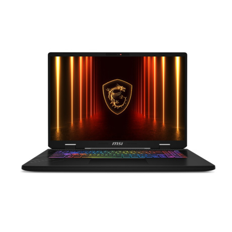 MSI Crosshair/A17 HX D8WFKG-011CZ/R9-8940HX/17"/2560x1600/32GB/1TB/RTX 5060/W11H/Gray/2R