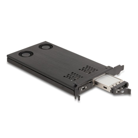 Delock karta PCI Express x16 Mobilní přihrádka na 2 x SSD M.2 NVMe – rozvětvení
