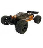 DF models RC auto RC buggy DirtFighter By 1:10