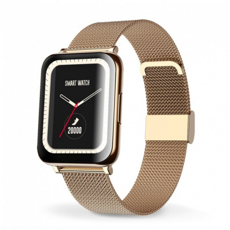 Chytré hodinky Aligator Watch Life (Y65), zlaté