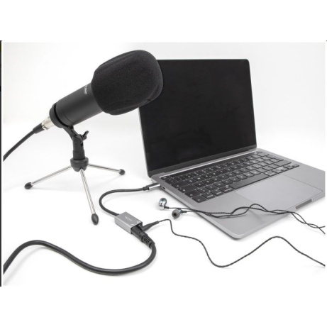 Delock Externí zvuková karta USB Type-C™ s audio adaptérem Plug & Play, 2 x 3,5 mm stereo jack