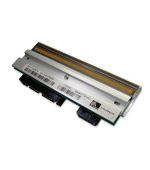 Tisková hlava pro GK,GX420t, termotransfer, 203dpi