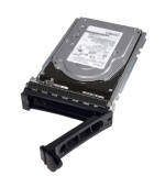 Dell 300GB 15K RPM SAS 12Gbps 512n 2.5in Hot-plug Hard Drive 3.5in HYB CARR CK