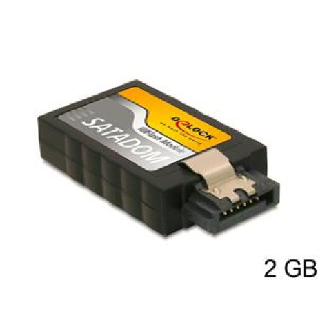 Delock SATA 3 Gb/s Flash Module 2 GB vertical