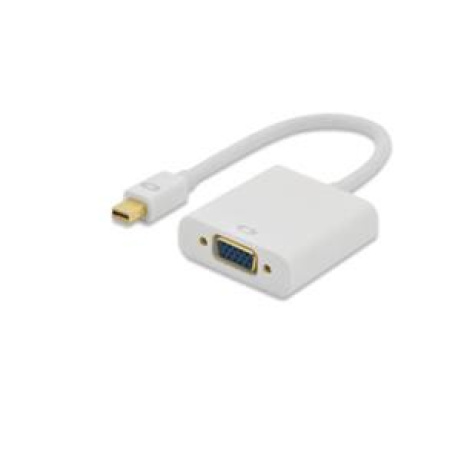 Ednet kabelový adaptér DisplayPort, mini DP samec na HD15 samice (VGA), 0,15 m, Full HD, CE, zlatý, bílý